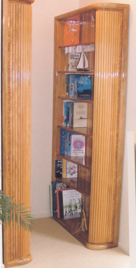 Elysium. Bookcase